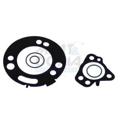 Repair kits for fuel pump