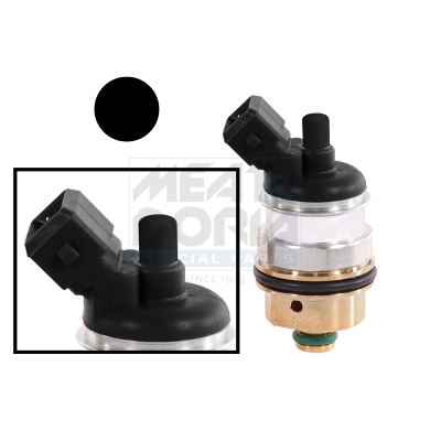 Black Euro 4 LPG injector