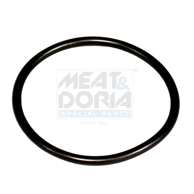 Gasket CP1