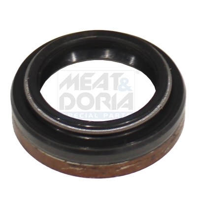 Oil Seal
