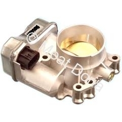 Throttle body