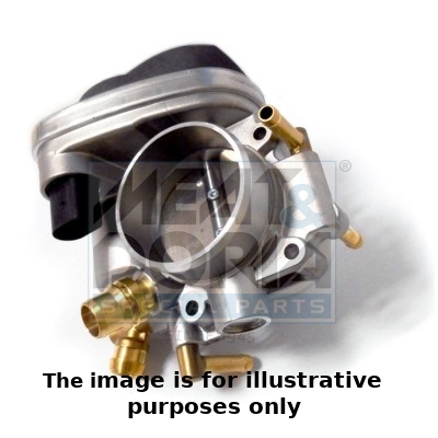 Throttle body