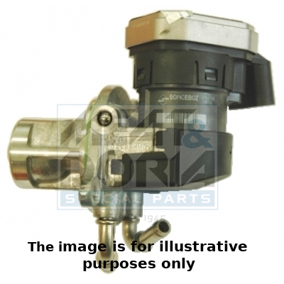 EGR Valve