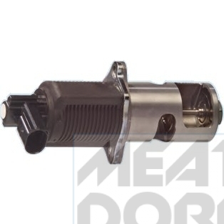 EGR Valve