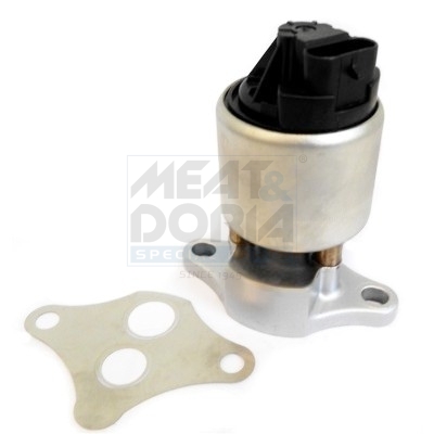 Ventil des Abluft-Umlaufsystems (EGR)