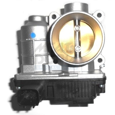 Throttle body