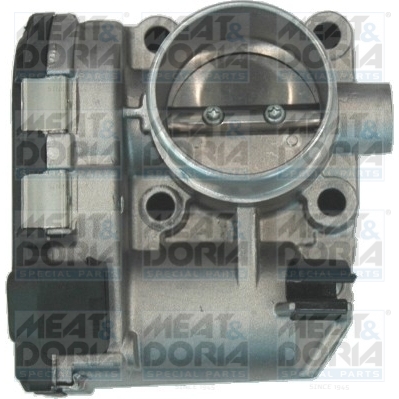 Throttle body