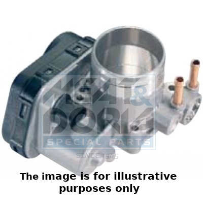 Throttle body