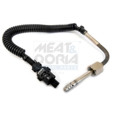 Abgas-Temperatursensor