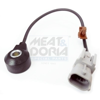 Knock sensor