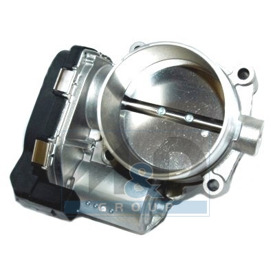 Drosselklappenstutzen