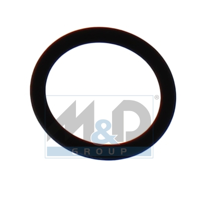 Seal Ring, Injector (kit 10 pcs)