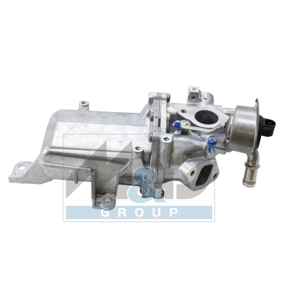 EGR Module