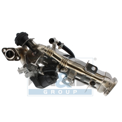 EGR Module