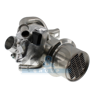 EGR Module