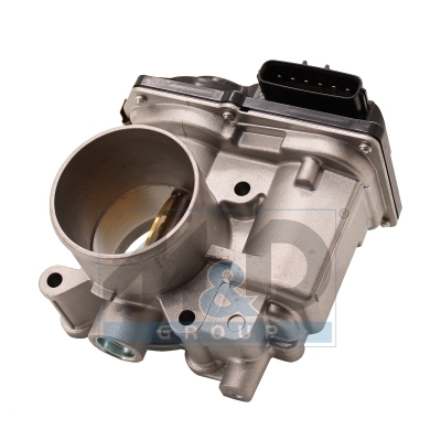 Throttle body