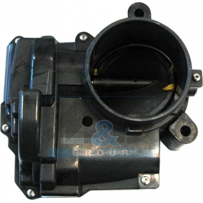 Throttle body
