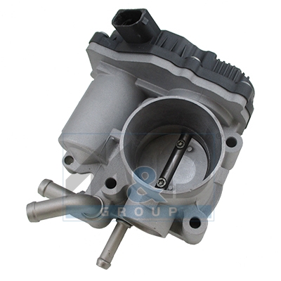 Throttle body