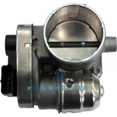 Throttle body