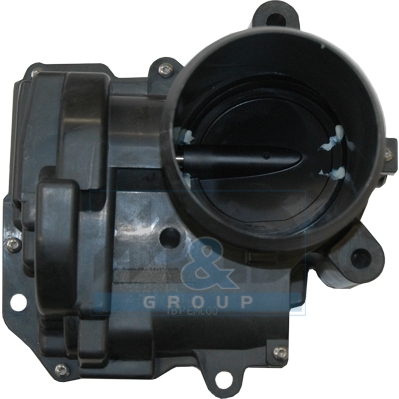 Throttle body
