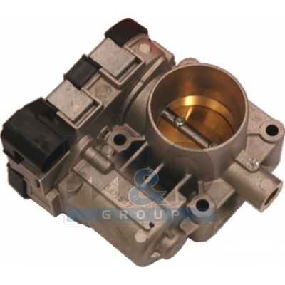 Throttle body