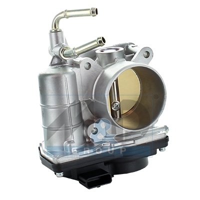 Throttle body