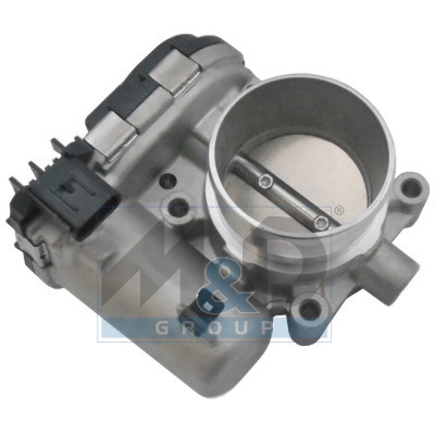 Throttle body