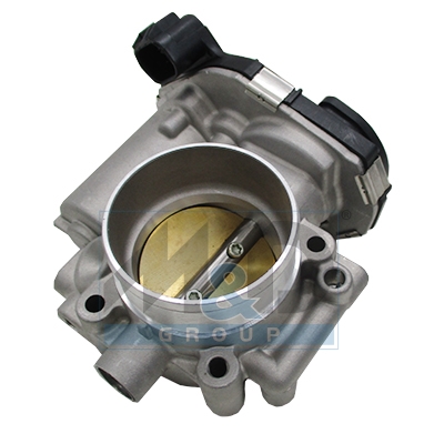 Boîtier papillon, injection