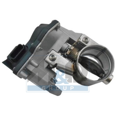 Throttle body
