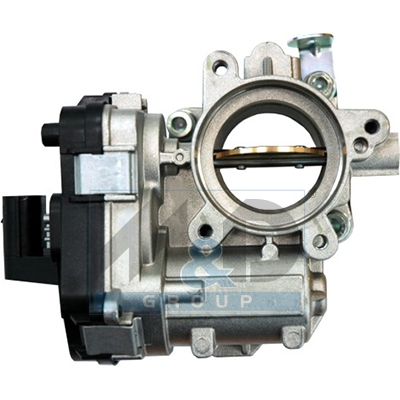 Throttle body