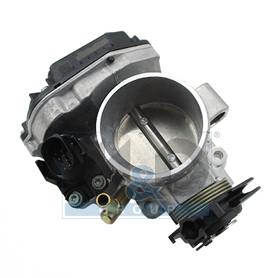 Throttle body