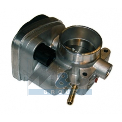 Throttle body