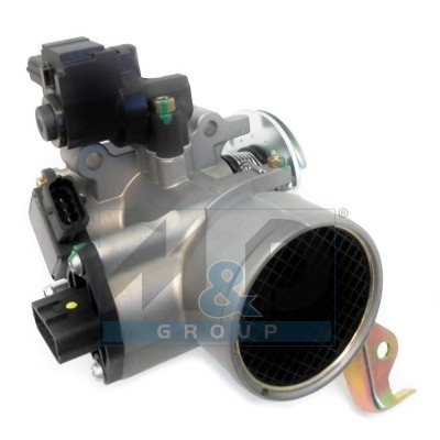 Throttle body