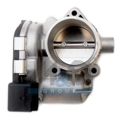 Throttle body