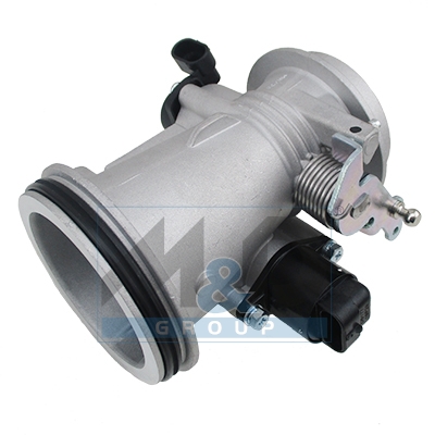 Throttle body