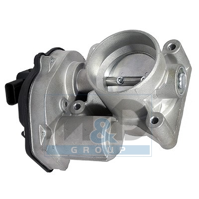Throttle body