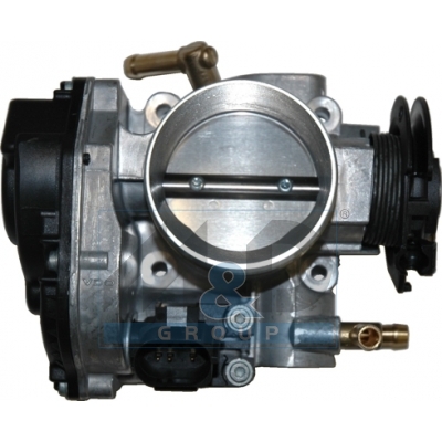 Throttle body