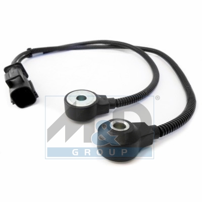 Knock sensor