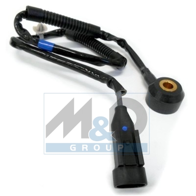 Knock sensor