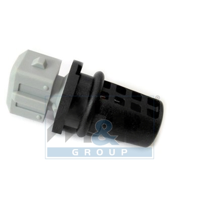 Sensor, Ansauglufttemperatur