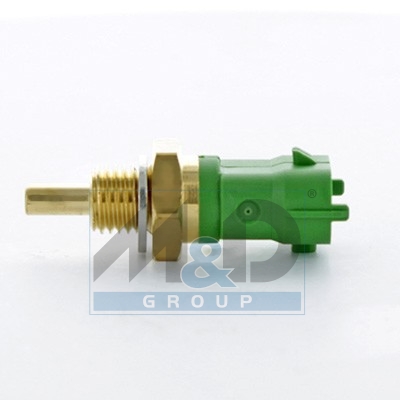 Fuel temperature sensor