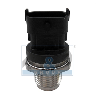 Fuel high pressure sensor