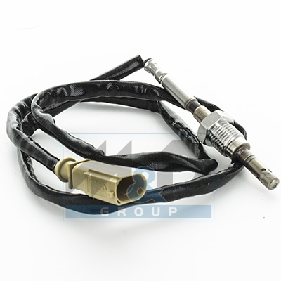 Sensor, Abgastemperatur