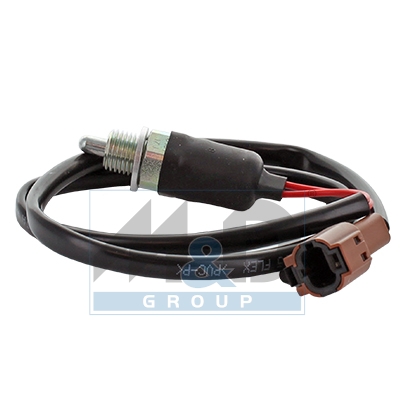 Switch reverse light