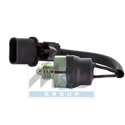 Switch reverse light