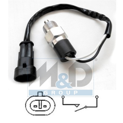 Switch reverse light