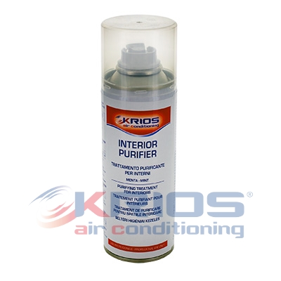 Disinfectant CAR/CAMPER/CAB