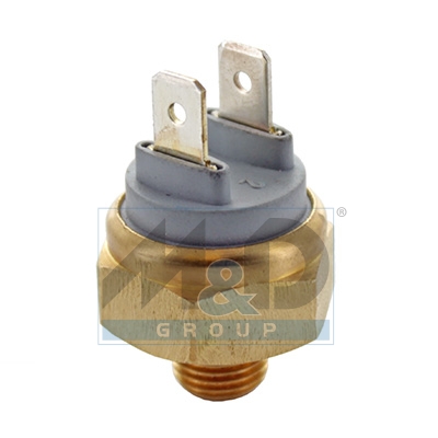 Temperature Switch, coolant warning lamp