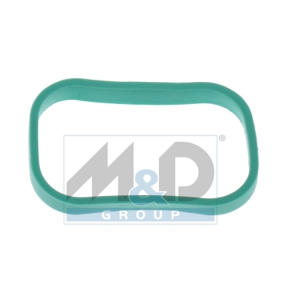 Intake manifold module gasket