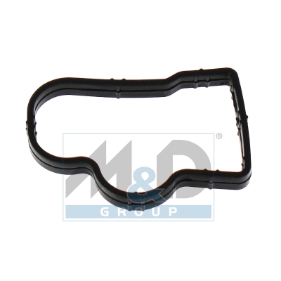 Intake manifold module gasket